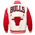 Chicago Bulls - Image 2